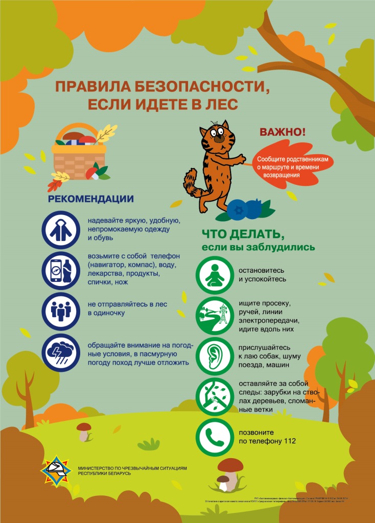 Правила поведения в лесу - Детский сад №101 г. Витебска "Солнышко"